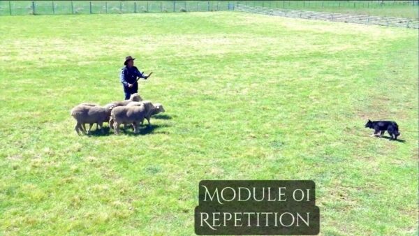 Complete Online Program - Duration 180 mins - Image 4