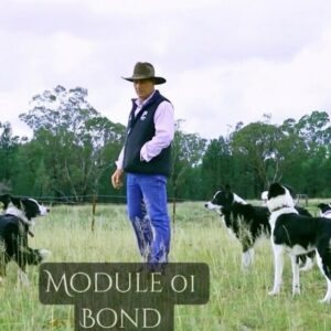 Module 1