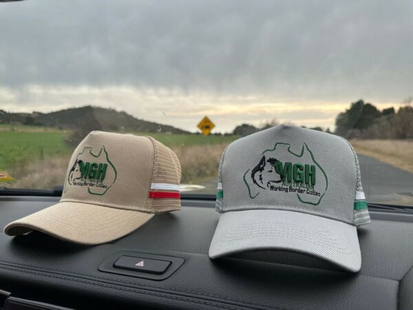 MGH Trucker Caps Sand - Image 5