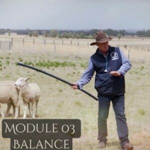 Module 3
