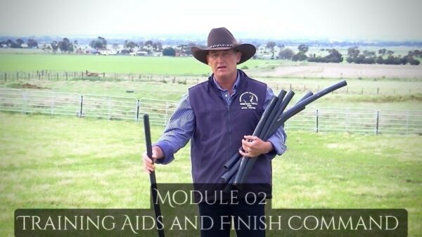 Complete Online Program - Duration 180 mins - Image 7