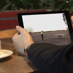 Virtual Lessons
