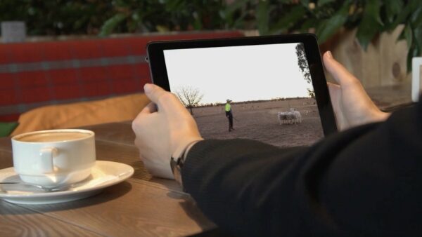 Virtual Lessons