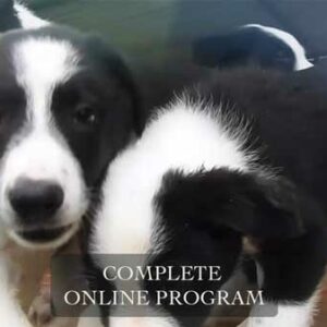 Complete Online Program - Duration 180 mins
